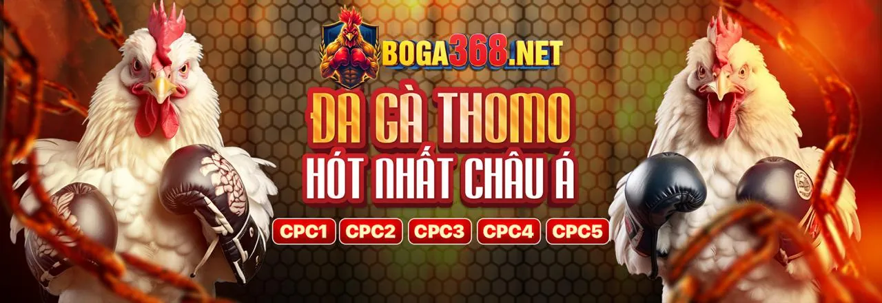 Gửi email cho bom88 casino
